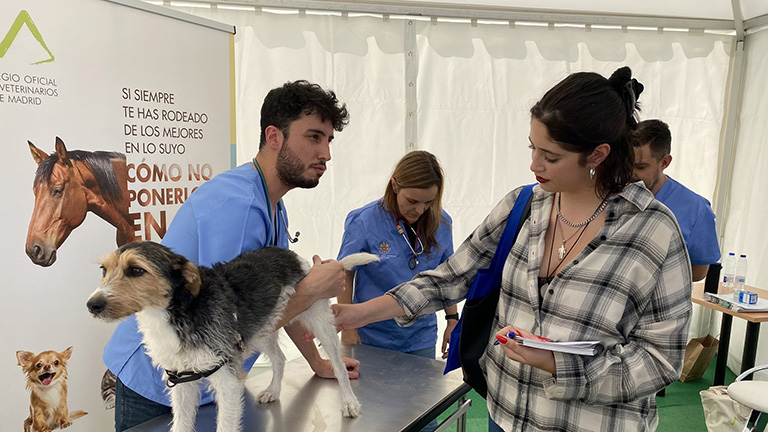 Colvema da a conocer la veterinaria y su versatilidad en el ‘Día de las profesiones’